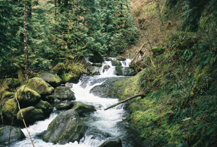 [A water cascade across rocks in a series of short drops in elevation. The stream is going back and forth as it finds the path of least resistance.]